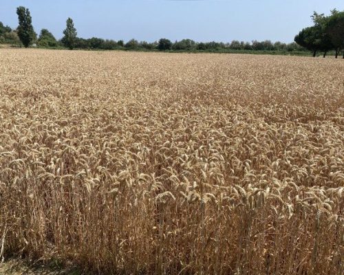 admin-ajaxttttttttttttttttttttttttttttttttttttttt