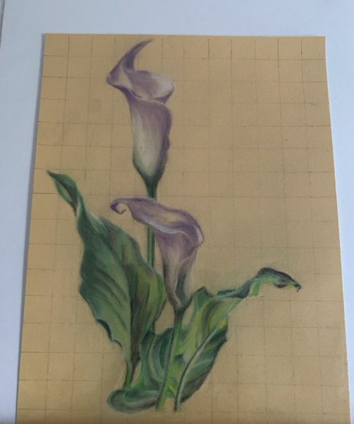 calle primo disegno con soft pastell