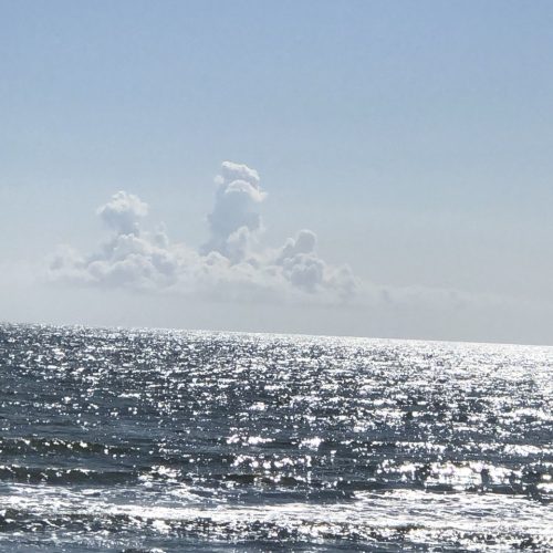 photo_2024-08-07_11-28-51