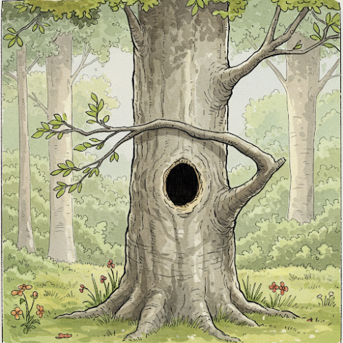 vero albero curioso 2